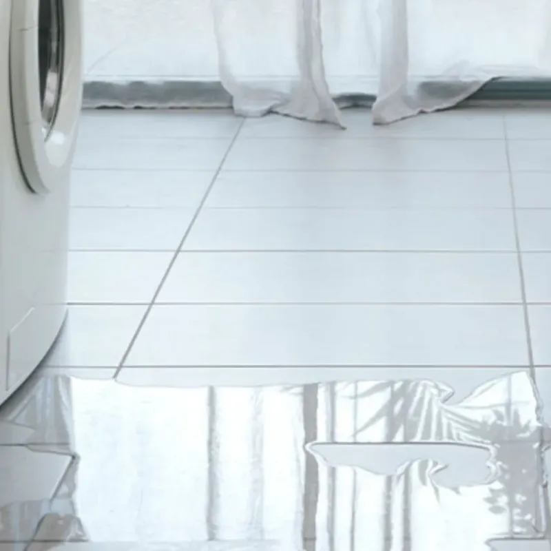 Appliance Leak Cleanup in Tift County, GA