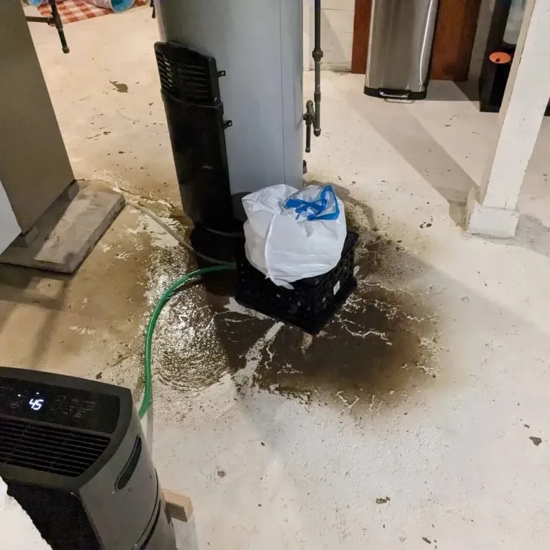 Sewage Backup Cleanup Service in Tift County, GA